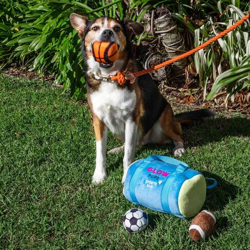 Sports Bag Hide and Seek Dog Toy, 3 Plush Balls with Squeakers, Basketball, Soccer Ball, Football in Kuwait