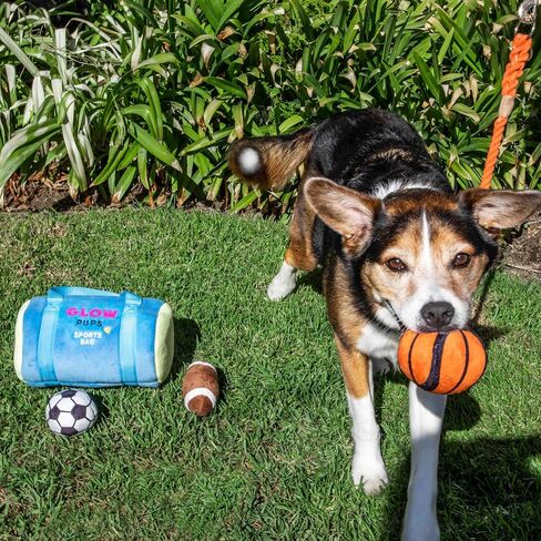 Sports Bag Hide and Seek Dog Toy, 3 Plush Balls with Squeakers, Basketball, Soccer Ball, Football in Kuwait
