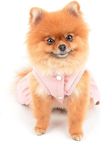 SMALLLEE_LUCKY_STORE Angel Wing Girls Dog Harness Dress and Leash Set Cat Sundress with D-Ring Puppy Skirt Spring Summer Clothes for Small Pets Yorkie Chihuahua,Blue,S in Kuwait