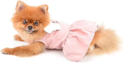SMALLLEE_LUCKY_STORE Angel Wing Girls Dog Harness Dress and Leash Set Cat Sundress with D-Ring Puppy Skirt Spring Summer Clothes for Small Pets Yorkie Chihuahua,Blue,S in Kuwait