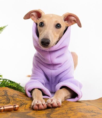 Dog Fleece Sweater Turtleneck Long Sleeve Pullover Sweatshirt Warm Puppy Clothes for Small Medium Dogs in Saudi Arabia