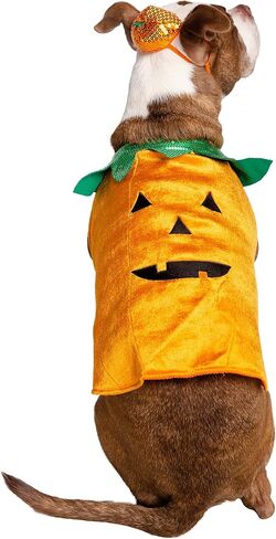 Pet Krewe X-Large Dog Pumpkin Outfit - Pet Pumpkin Costume - Fits Small, Medium, Large and Extra Large Dogs, Cats - Perfect for Halloween, Christmas Holiday, Parties, Photoshoots, Gifts for Dog lovers in Saudi Arabia
