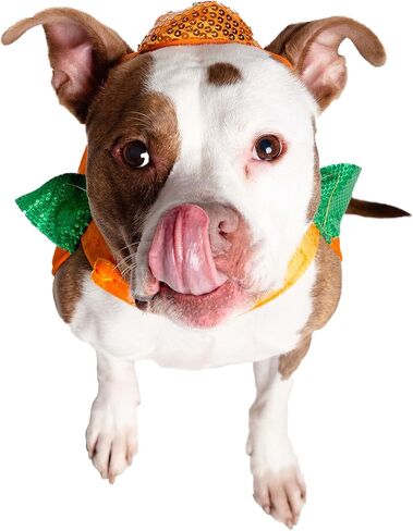 Pet Krewe X-Large Dog Pumpkin Outfit - Pet Pumpkin Costume - Fits Small, Medium, Large and Extra Large Dogs, Cats - Perfect for Halloween, Christmas Holiday, Parties, Photoshoots, Gifts for Dog lovers in Saudi Arabia