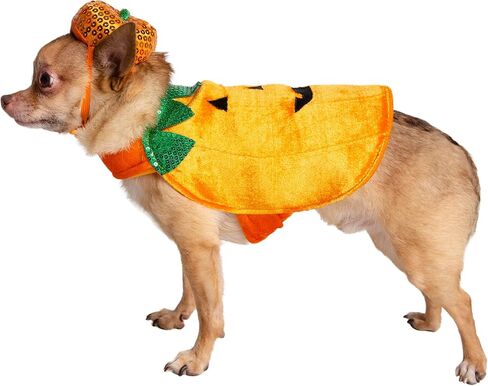 Pet Krewe X-Large Dog Pumpkin Outfit - Pet Pumpkin Costume - Fits Small, Medium, Large and Extra Large Dogs, Cats - Perfect for Halloween, Christmas Holiday, Parties, Photoshoots, Gifts for Dog lovers in Saudi Arabia