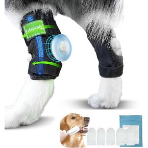 2PCS Dog Braces for Back Leg for Support. Dog Arthritis Brace. Hind Leg Support for Dogs. Leg Brace for Dogs Back Leg. Dog Leg Brace. Dog Back Leg Support Brace. Dog Hock Brace Rear Leg (M)