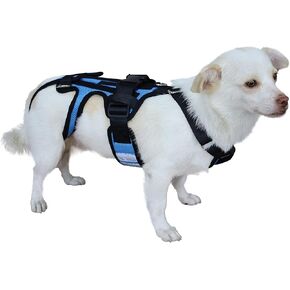 Dog Back Brace for Dogs, Hip Brace Support for Pet, Back Brace for Dogs with IVDD, Surgery Recovery and Rehabilitation, Dog Back Disease Rrevention(S)