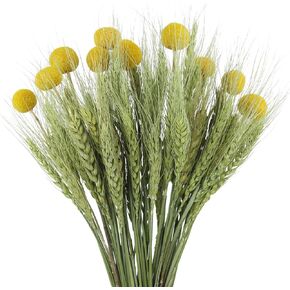 Dried Flowers Bouquet Dried Wheat Stalks Bundle Natural Lavender Dried Flowers Craspedia Flowers Dried Floral Arrangements for Wedding Party Table Centerpiece Decor Farmhouse DIY