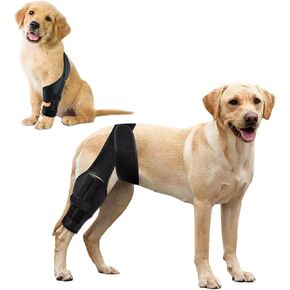 Knee Brace for Dog Torn Acl, Dog Knee Leg ACL Brace Adjustable Dog Braces for Back Leg for Support for Dog ACL CCL Recovery with Dog Leg Braces for Dog Hind Leg Reduce Pain & Muscle Sore (L)