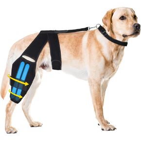 Dog Knee Brace for Torn ACL Hind Leg, Strong Dog Leg Braces for Back or Front Leg with 2 Metal Strips, Adjustable Anti-Slip Dog ACL Hip Brace for Large Medium Small Dogs with Cruciate Ligament Injury