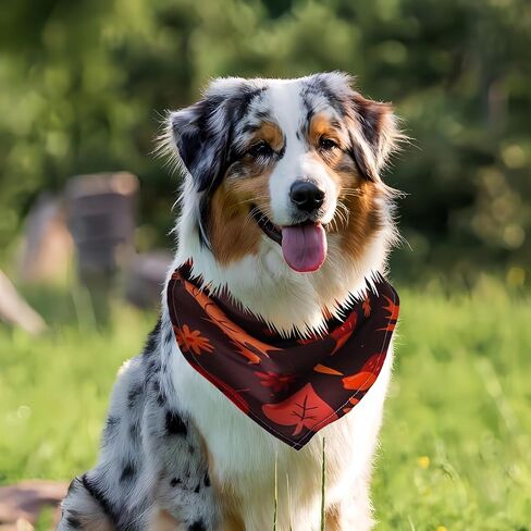Cute Fall Dog Bandanas 2 Pack, Autumn Hello Fall Hey Pumpkin Maple Leaves Dog Scarf, Thanksgiving Handkerchief Scarves Gifts for Puppy Large Dogs in Saudi Arabia