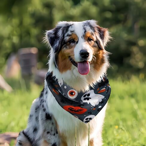 Cute Fall Dog Bandanas 2 Pack, Autumn Hello Fall Hey Pumpkin Maple Leaves Dog Scarf, Thanksgiving Handkerchief Scarves Gifts for Puppy Large Dogs in Saudi Arabia