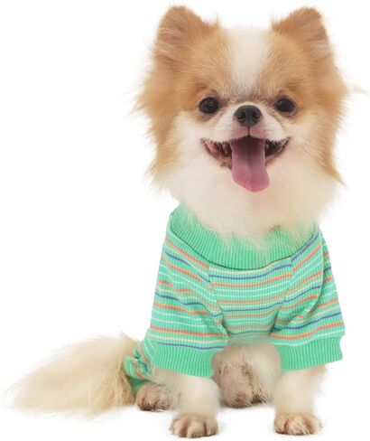 بيجامة كلب من LOPHIPETS لملابس الشاي الصغيرة تشيهواهوا يوركي والجرو والقطط - أخضر/XS in Kuwait
