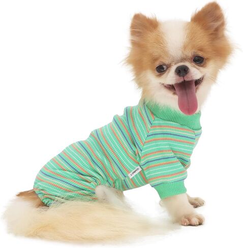 بيجامة كلب من LOPHIPETS لملابس الشاي الصغيرة تشيهواهوا يوركي والجرو والقطط - أخضر/XS in Kuwait