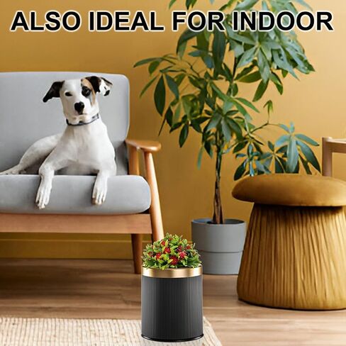 Dog Poop Trash Can Outside, Dog Waste Container, Plant Styled Small Outdoor Trash Can with Lid, 2.6 Gal, Drak Grey in Saudi Arabia