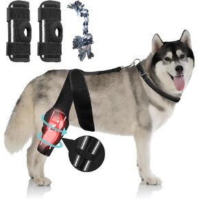 Large Dog Support Brace - ACL, Hip Dysplasia & Luxating Patella Care