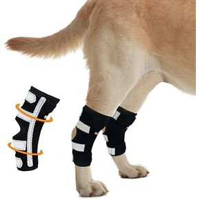 NeoAlly Dog Canine Braces for Rear Legs Super Supportive with Dual Metal Spring Inserts to Stabilize Dog Hind Legs, Help Dogs with Injuries, Sprains, Arthritis, ACL (M Pair)