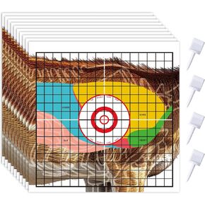 Tlswshsy Animal Shooting Paper Target, 16''x16'' Hunting Deer Target with Target Pegs, Highly Visible Deer Vital Organ Shooting for Hunting Archery Practice Targets Holder