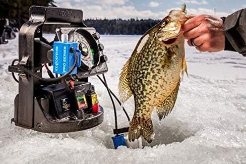 Cold Nation Ice Defense Pro Series in Saudi Arabia