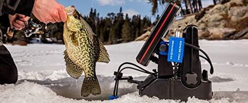 Cold Nation Ice Defense Pro Series in Saudi Arabia