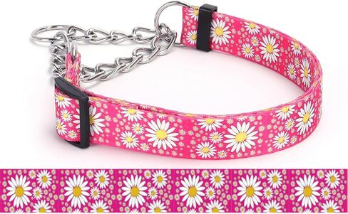 Martingale Dog Collar, Trainer Approved Limited Slip Collar with Daisy Floral Design Stainless Steel Chain Modified Cinch Collar for Gentle & Effective Pet Training (Purple, Large) in Saudi Arabia