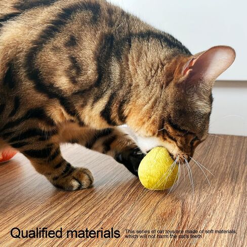 Catnip Matatabi Silvervine Toys for Cats & Kittens,Cat Toys for Indoor Cats，Cat Kicker Toy（Fruit*4） in Saudi Arabia