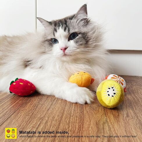 Catnip Matatabi Silvervine Toys for Cats & Kittens,Cat Toys for Indoor Cats，Cat Kicker Toy（Fruit*4） in Saudi Arabia