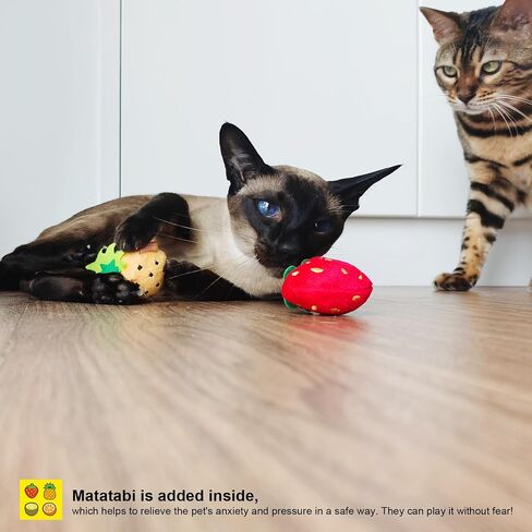 Catnip Matatabi Silvervine Toys for Cats & Kittens,Cat Toys for Indoor Cats，Cat Kicker Toy（Fruit*4） in Saudi Arabia