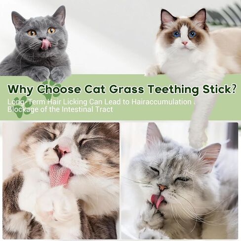 Cat Grass Teething Stick,Natural Cat Grass Sticks,Cat Grass Chew Sticks,Cat Grass Teething Stick for Indoor Cats,Edible Cat Chew Toys for Teeth Cleaning and Hairball Removal in Saudi Arabia