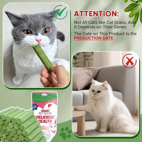 Cat Grass Teething Stick,Natural Cat Grass Sticks,Cat Grass Chew Sticks,Cat Grass Teething Stick for Indoor Cats,Edible Cat Chew Toys for Teeth Cleaning and Hairball Removal in Saudi Arabia