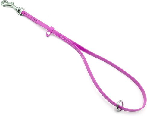 Jelly Pet Grooming Loop for Dogs, Groomers Helper, BioThane Material is Easy to Clean, Waterproof & Durable Noose Loop, Fits most Pet Grooming Tubs/Tables/ 3/8" x 24" W/Ring Purple in Kuwait