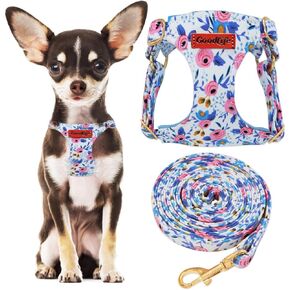 OaaXbbECco No Pull Floral Pattern Dog Harness,Soft Adjustable Dog Harness Vest and Dog Leash Set No Choke Escape Proof (Pink Daisy, M)
