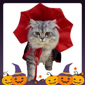 الكلب القط أزياء الهالوين أزياء الهالوين للقطط الكلب مصاص دماء زي الحيوانات الأليفة مضحك عطلة الرؤوس مضحك الحيوانات الأليفة تأثيري ازياء صغيرة ومتوسطة الحجم هريرة جرو هالوين الكلب الساحرة زي in Kuwait