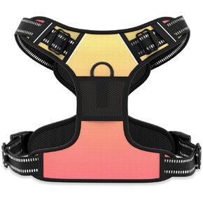 Rnivvi No Pull Dog Harness, Cute Reflective Small Sized Puppy Kitten Harness, Adjustable Soft Padded Vest for Small Dogs, Cats, Heavy Duty Pet Vest with Easy Control Handle for Walking, Pink Hearts