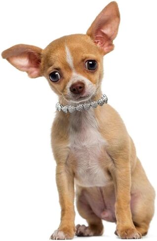 Gold Dog Necklace with Bling, Heart Style Sparkle Diamond Chain Sparkly Cat Collars Fancy Glitter Rhinestone Puppy Jewelry for XXS XS Small Medium Pet Dogs Kitten, 8-Inch in Saudi Arabia
