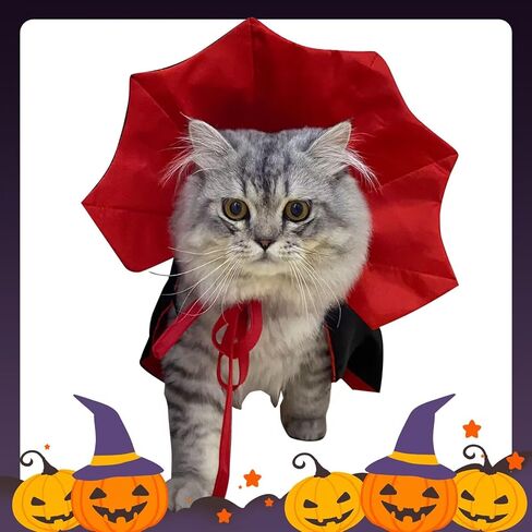 الكلب القط أزياء الهالوين أزياء الهالوين للقطط الكلب مصاص دماء زي الحيوانات الأليفة مضحك عطلة الرؤوس مضحك الحيوانات الأليفة تأثيري ازياء صغيرة ومتوسطة الحجم هريرة جرو هالوين الكلب الساحرة زي in Kuwait