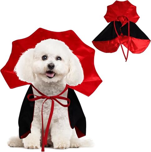 الكلب القط أزياء الهالوين أزياء الهالوين للقطط الكلب مصاص دماء زي الحيوانات الأليفة مضحك عطلة الرؤوس مضحك الحيوانات الأليفة تأثيري ازياء صغيرة ومتوسطة الحجم هريرة جرو هالوين الكلب الساحرة زي in Kuwait