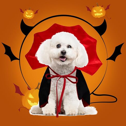 الكلب القط أزياء الهالوين أزياء الهالوين للقطط الكلب مصاص دماء زي الحيوانات الأليفة مضحك عطلة الرؤوس مضحك الحيوانات الأليفة تأثيري ازياء صغيرة ومتوسطة الحجم هريرة جرو هالوين الكلب الساحرة زي in Kuwait