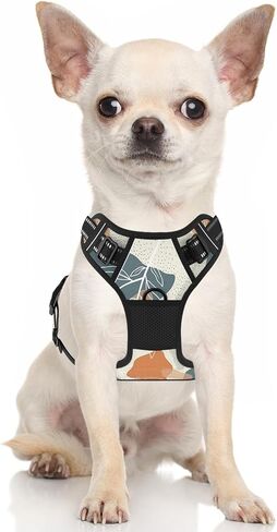 Rnivvi No Pull Dog Harness, Cute Reflective Small Sized Puppy Kitten Harness, Adjustable Soft Padded Vest for Small Dogs, Cats, Heavy Duty Pet Vest with Easy Control Handle for Walking, Pink Hearts in Kuwait