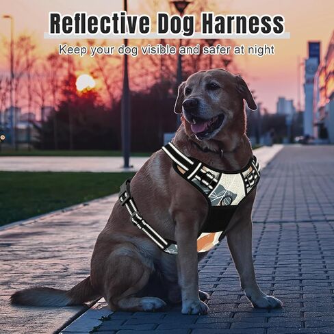 Rnivvi No Pull Dog Harness, Cute Reflective Small Sized Puppy Kitten Harness, Adjustable Soft Padded Vest for Small Dogs, Cats, Heavy Duty Pet Vest with Easy Control Handle for Walking, Pink Hearts in Kuwait