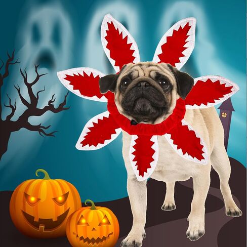 Pet Demon Hat Halloween Dog Costume Scary Monster Devil Cat Collar Headband Demogorgon Costume Headgear Props Cosplay Outfits for Small Medium Dog Stranger Thing Decor (Devil Flower Collor, Medium) in Saudi Arabia
