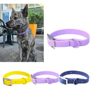 Dog Collar, Waterproof Dog Collar, Rubber Dog Collar, Odor-Proof Tough Rust-Proof Metal Buckle D Ring Adjustable and Comfortable Easy Care Easy to Clean Fits Fits Small, Medium, or Large Dogs