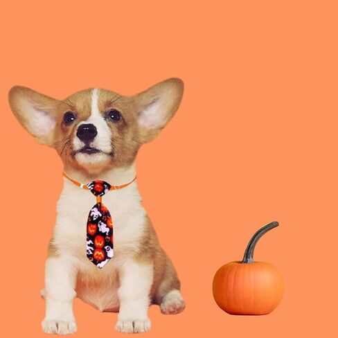 ربطات عنق للكلاب الهالوين للكلاب الصغيرة، 10 قطع ربطات عنق للحيوانات الأليفة مع ربطات عنق للجرو قابلة للتعديل، ربطة عنق شبح للحيوانات الأليفة، طوق للقطط، إكسسوارات شعر للكلاب لقضاء عطلة عيد الشكر (لون عشوائي) in Kuwait