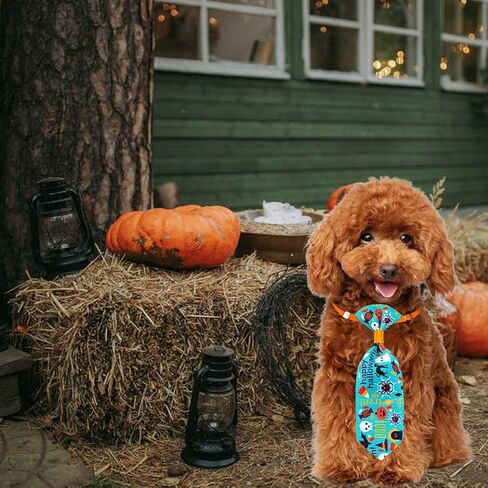 ربطات عنق للكلاب الهالوين للكلاب الصغيرة، 10 قطع ربطات عنق للحيوانات الأليفة مع ربطات عنق للجرو قابلة للتعديل، ربطة عنق شبح للحيوانات الأليفة، طوق للقطط، إكسسوارات شعر للكلاب لقضاء عطلة عيد الشكر (لون عشوائي) in Kuwait