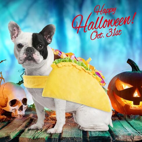 تاكو الكلب هالوين زي الكلب زي مضحك الكلب الأزياء تاكو الحيوانات الأليفة الأزياء عيد الميلاد الكلب تأثيري الملابس للكلاب المتوسطة الصغيرة القط الملابس جرو الزي لحفلة عيد ميلاد صور الدعائم الأحداث الخاصة in Kuwait