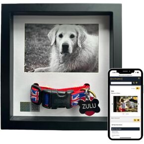 Not Forgotten Pet Memorial Picture Frame and Online Memorial - Sentiment Frame for Loss of Dog, Cat - Pet Collar Frame - Remembrance Sympathy Keepsake Gift (White)