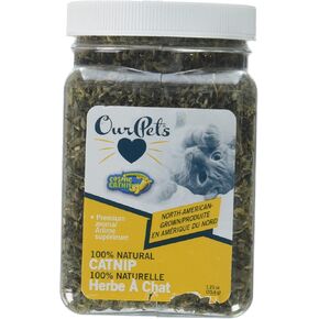 Cosmic Catnip Jar