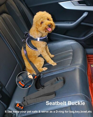 مقود الكلاب شديد التحمل من هوتسكي بمقبضين مبطنين، مقود الكلب بحزام أمان من النايلون قابل للتعديل بطول 4.5-6 أقدام مع مقبض حركة وحلقة تسلق للكلاب الكبيرة والمتوسطة والصغيرة التي تسحب، مموه أرجواني in Kuwait