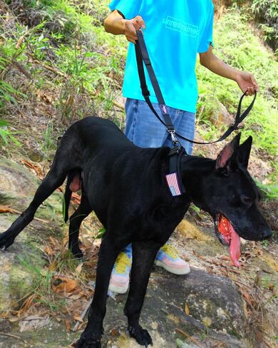 مقود الكلاب شديد التحمل من هوتسكي بمقبضين مبطنين، مقود الكلب بحزام أمان من النايلون قابل للتعديل بطول 4.5-6 أقدام مع مقبض حركة وحلقة تسلق للكلاب الكبيرة والمتوسطة والصغيرة التي تسحب، مموه أرجواني in Kuwait