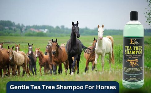 Tea Tree Shampoo for Pets, 32 oz. in Saudi Arabia