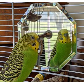 Birdcage Mirror 5 Inch Glass with Beveled Edge Octagon Shape | Assembled in USA in Saudi Arabia